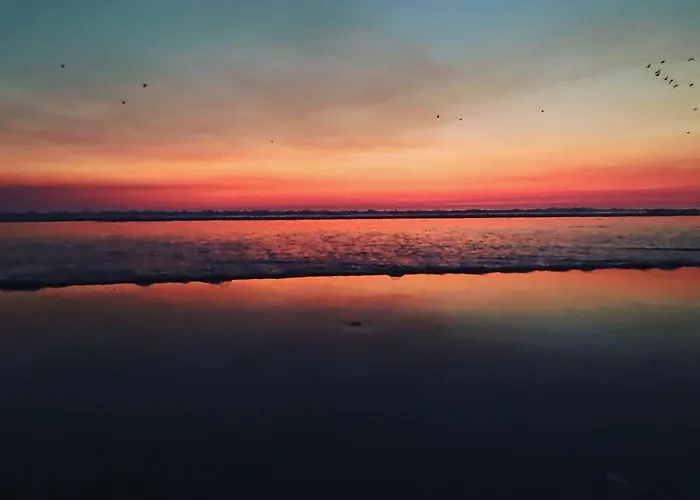 Rock's Spot Apartmán *